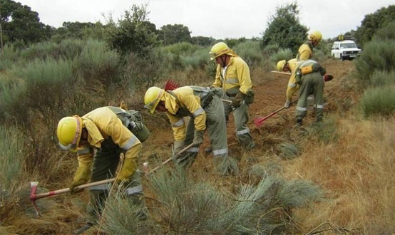 El Gobierno de Ayuso vuelve a engañar a los bomberos forestales