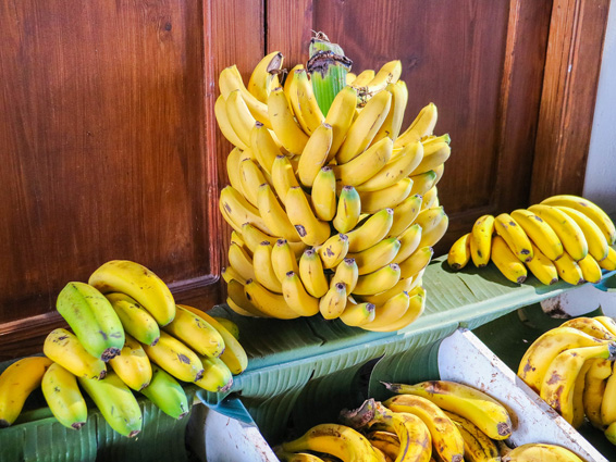 UGT FICA denuncia el bloqueo en la negociación del convenio del Sector de Empaquetado de Plátanos de las Islas de Tenerife, Gomera y El Hierro