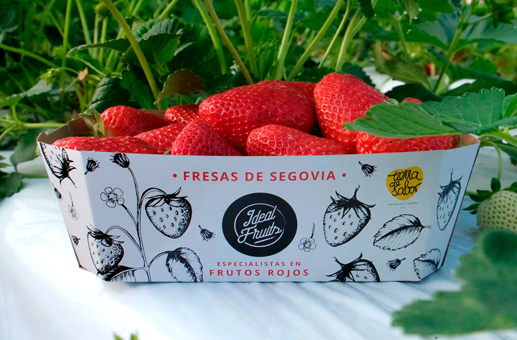 UGT FICA Segovia obtiene los 9 delegados del comité de empresa en Ideal Fruits
