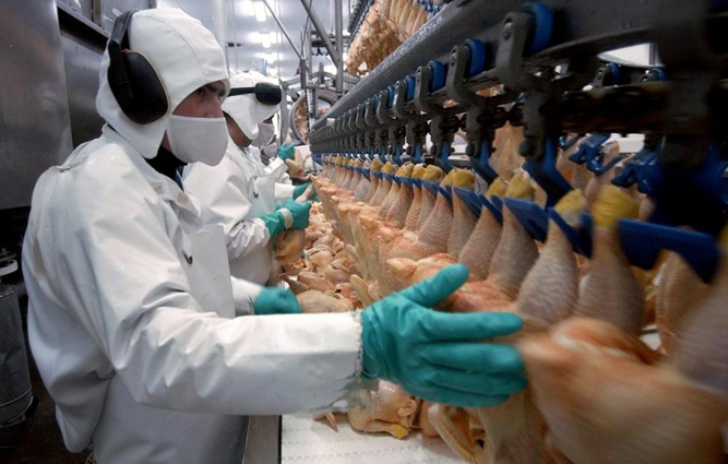UGT FICA demanda a la patronal de mataderos de aves y conejos por incumplimiento del convenio colectivo