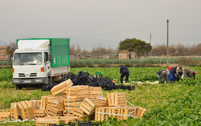 UGT FICA exige al Gobierno medidas de protección para los trabajadores agrarios