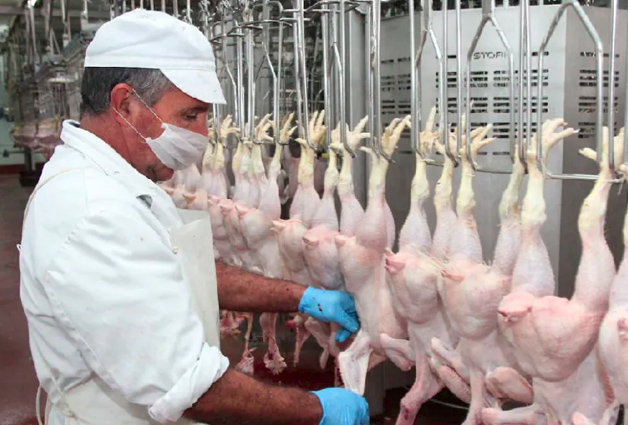 UGT FICA firma el acuerdo de revisión salarial del convenio de mataderos de aves y conejos