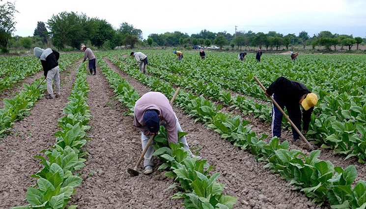 El paro agrario desciende 9 puntos con relación a la media general