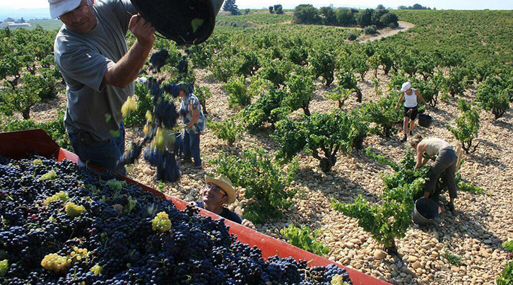 UGT FICA visita a los trabajadores y trabajadoras desplazados a la vendimia francesa