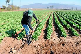 UGT FICA Navarra firma un preacuerdo de Convenio Agropecuario con una subida salarial del 10,8% para el periodo 2023-2025
