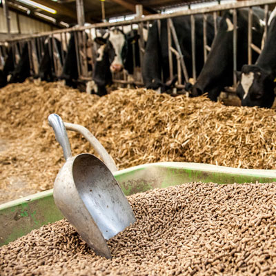 UGT FICA muestra su profunda preocupación por la marcha de la negociación del Convenio Nacional de Fabricación de Alimentos Compuestos para Animales