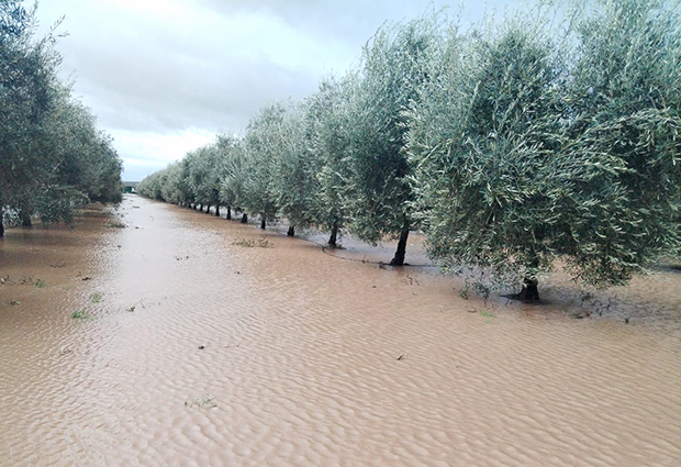 UGT FICA reclama al Gobierno medidas urgentes para paliar los efectos climáticos en el sector agroalimentario