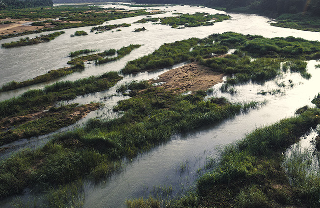 UGT FICA reclama al Gobierno medidas urgentes para paliar los efectos climáticos en el sector agroalimentario