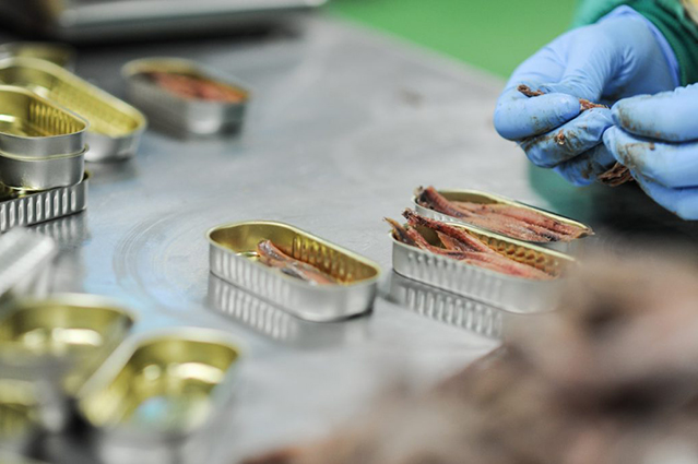 UGT FICA valora la propuesta del SIMA para la firma del convenio de conservas de pescado