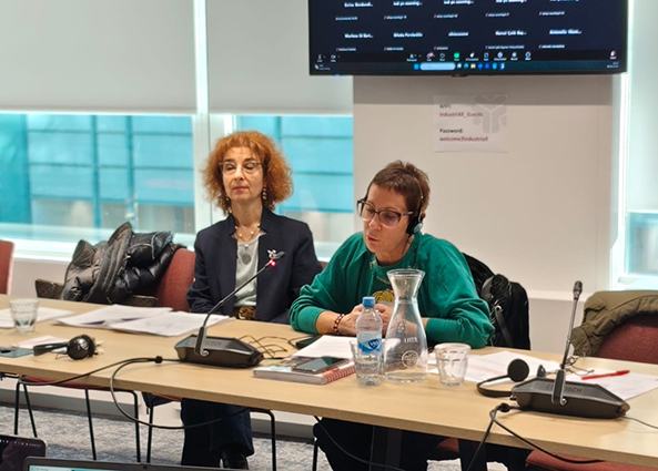 270226 Encuentro final proyecto IncreMental Pilar Ituero