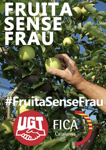 UGT FICA Cataluña pone en marcha la campaña “Fruta sin fraude”