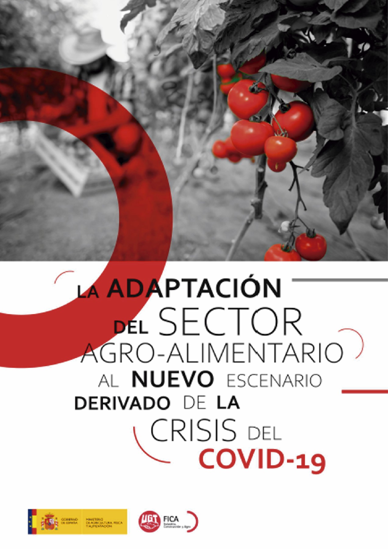 La Adaptación del Sector Agro-alimentario al nuevo escenario derivado de la crisis del Covid-19