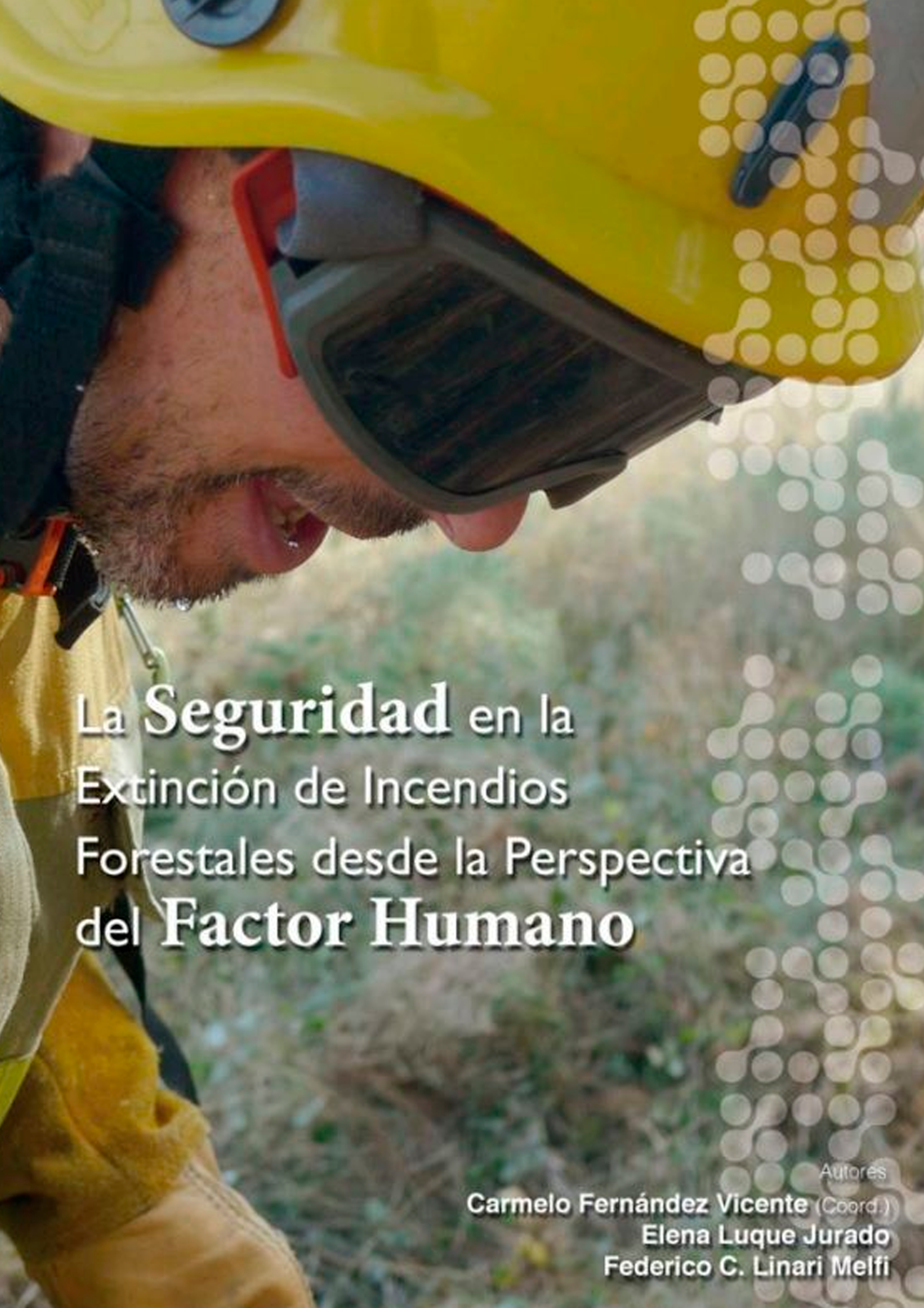 Seguridad Incendios