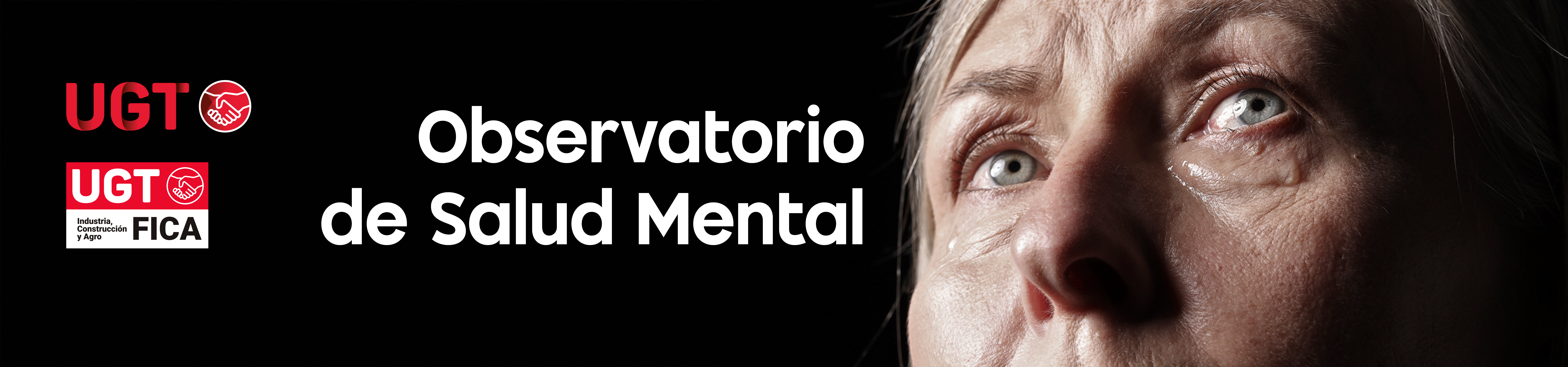Observatorio de Salud Mental UGT