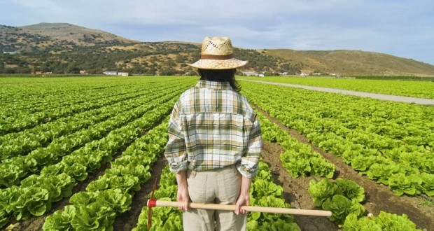 Frente a la explotación laboral, un modelo agrario respetuoso