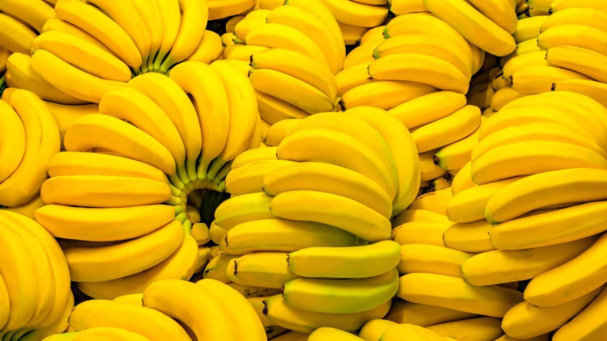 UGT firma un acuerdo que desbloquea las negociaciones del Convenio del Empaquetado del Plátano de La Palma vencido en diciembre de 2021