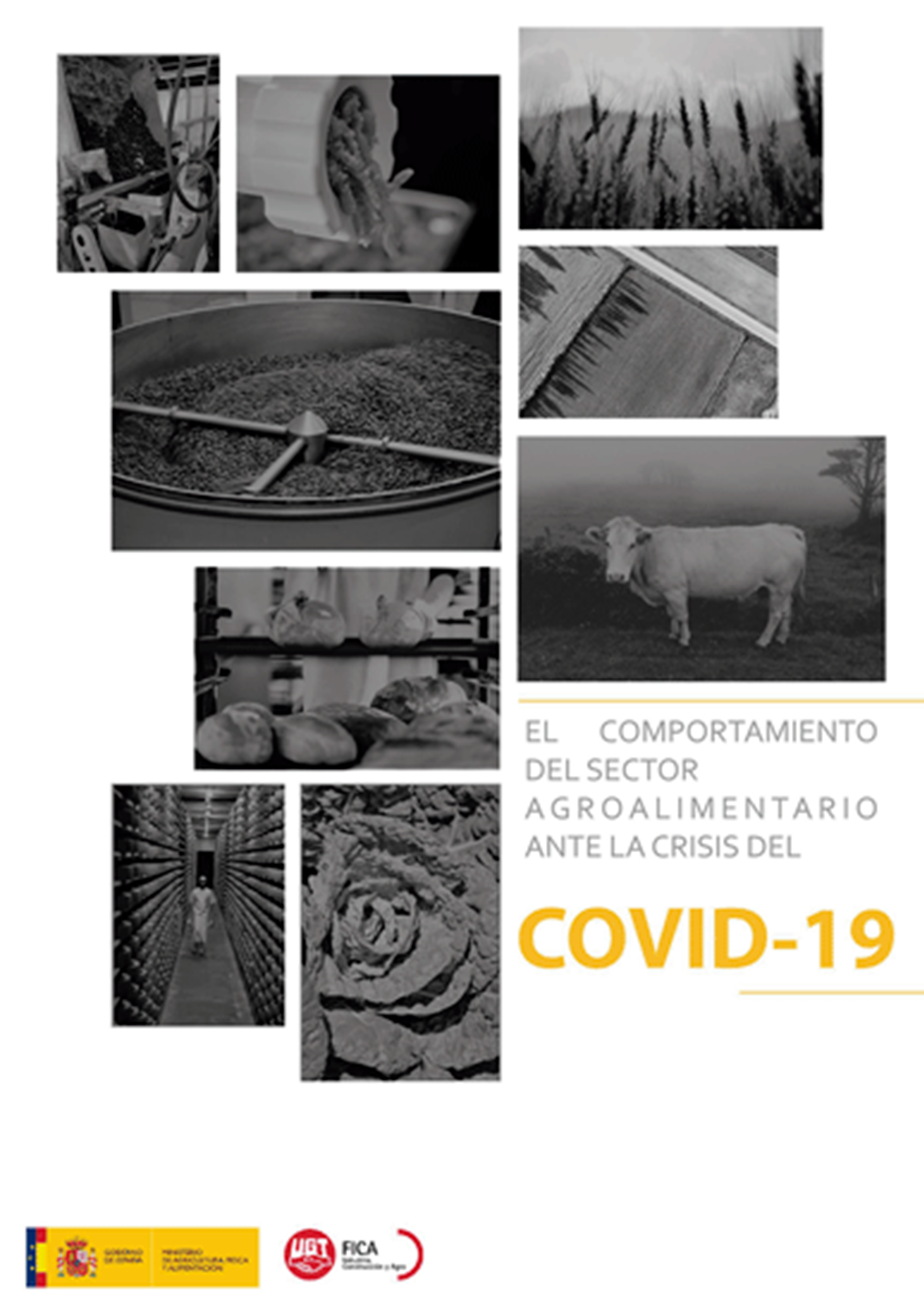 Agro en <br>Covid-19