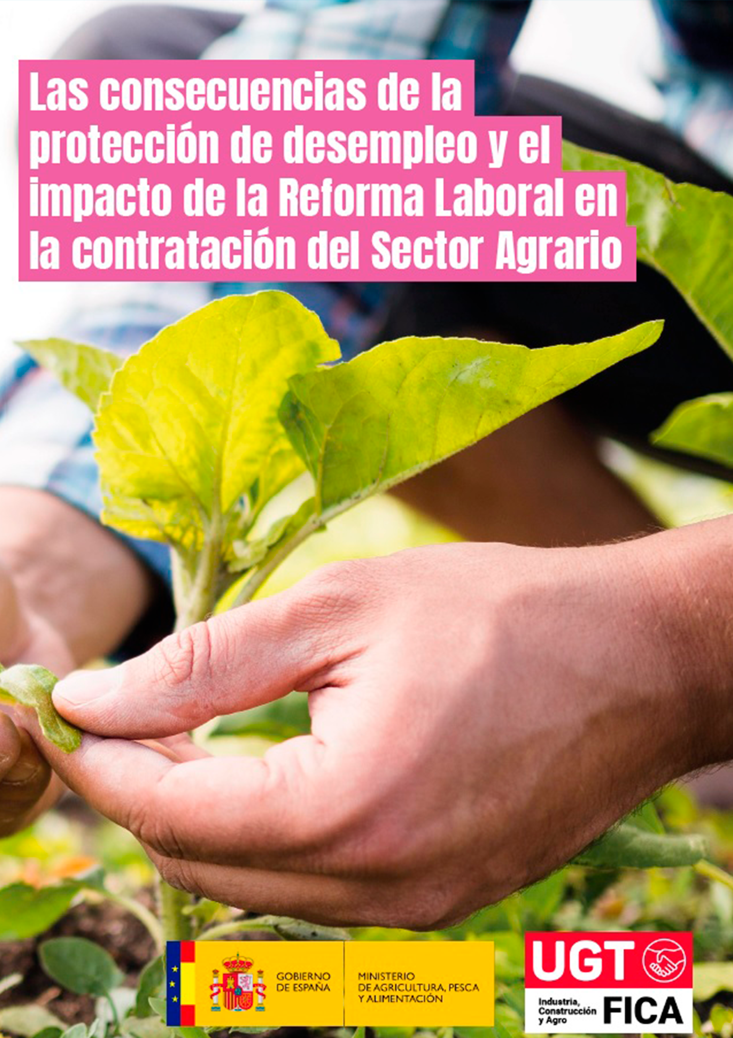 Contratación del sector Agrario