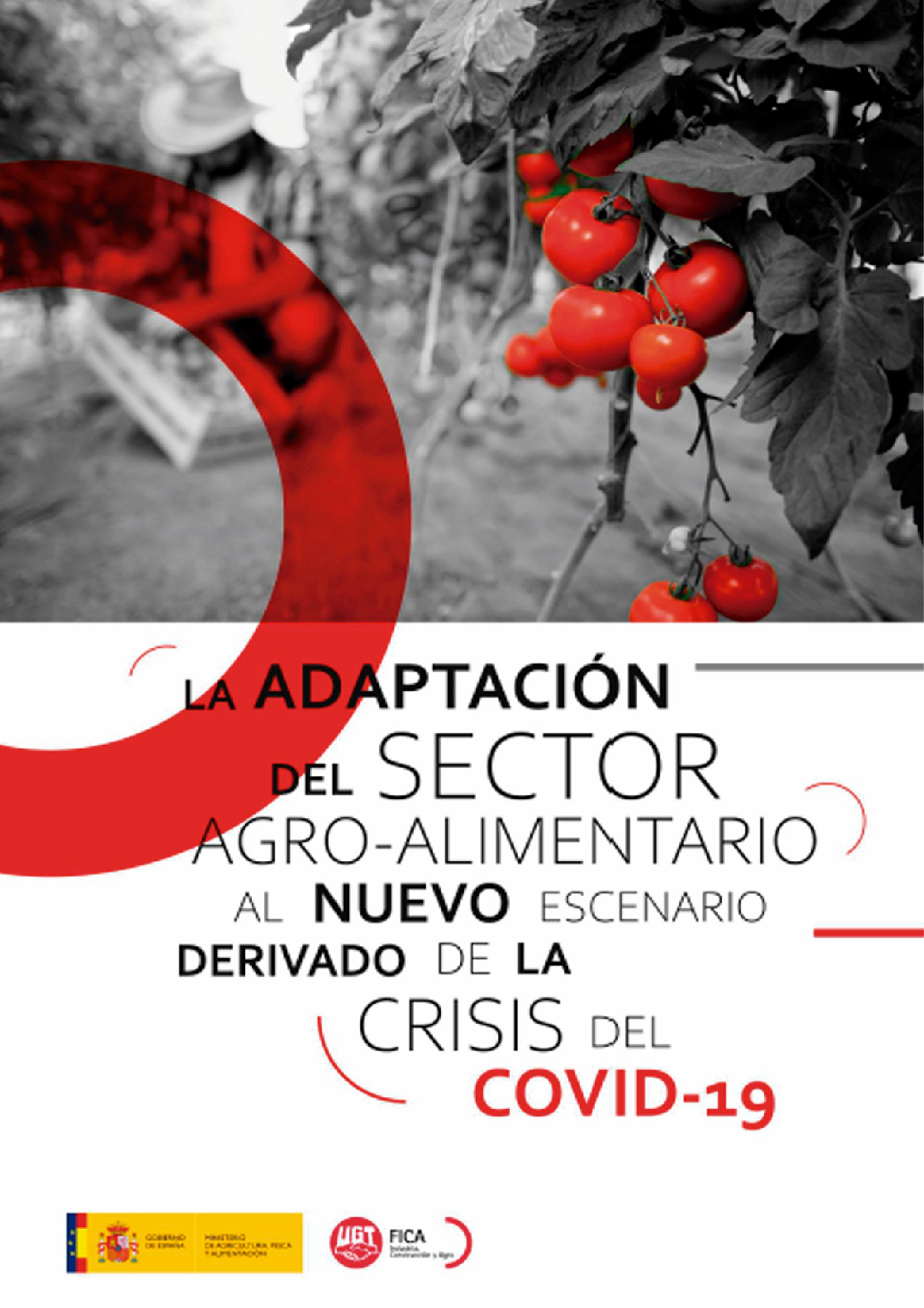 Adaptación Covid-19